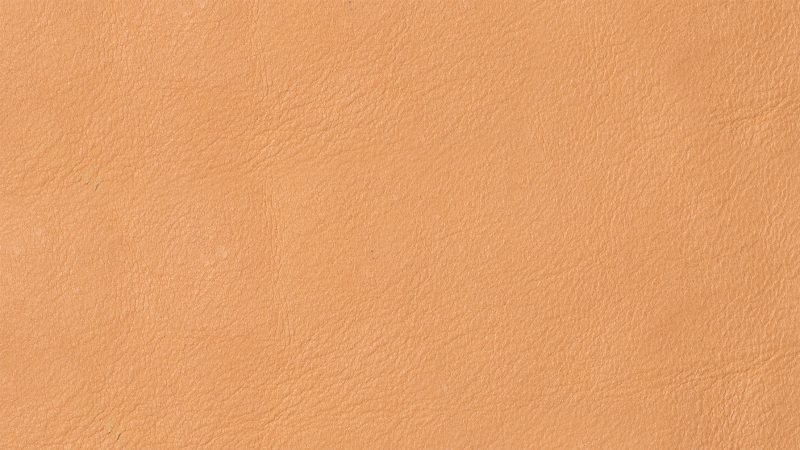 EW TERRACOTTA swatch 2023 11 PDP